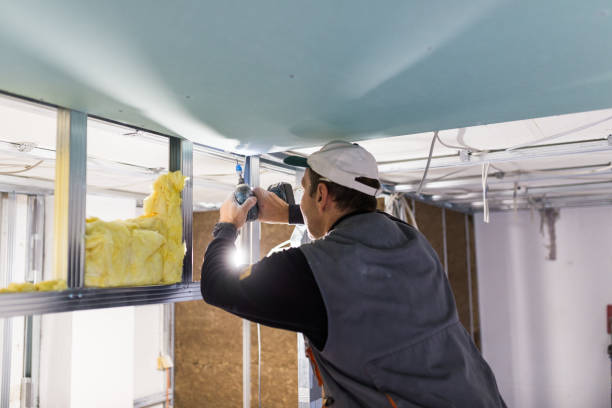 Best Insulation Maintenance and Repair in Diamondhead, MS