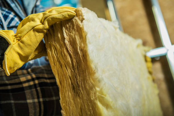 Professional Insulation Contractor in Diamondhead, MS