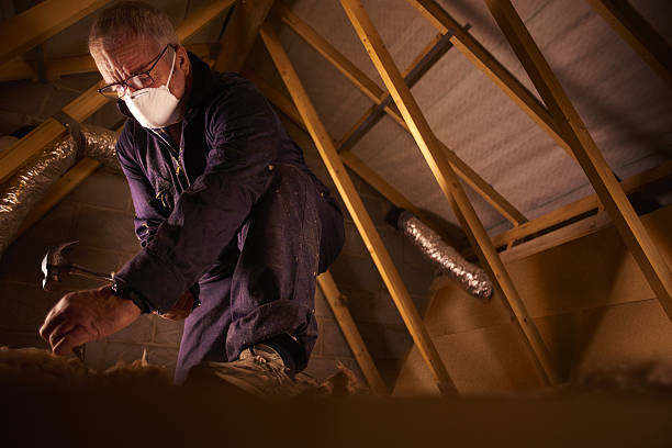 Types of Insulation We Offer in Diamondhead, MS