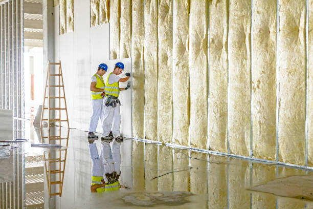 Best Blown-in Insulation in Diamondhead, MS